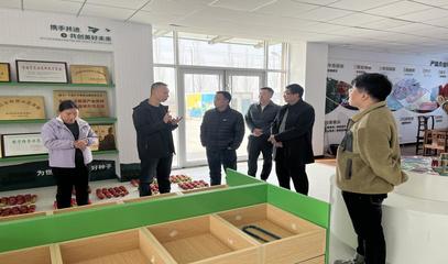 專家技術指導守護種業(yè)安全 技術推廣服務