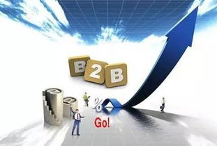 消費(fèi)互聯(lián)網(wǎng)向產(chǎn)業(yè)互聯(lián)網(wǎng)轉(zhuǎn)型 B2B市場崛起與網(wǎng)絡(luò)技術(shù)服務(wù)的機(jī)遇